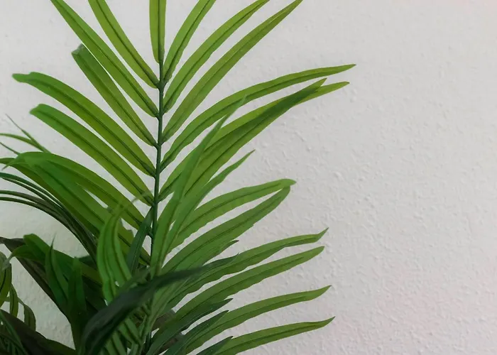 Amplio Y Comodo En Basurto Apartament Bilbao