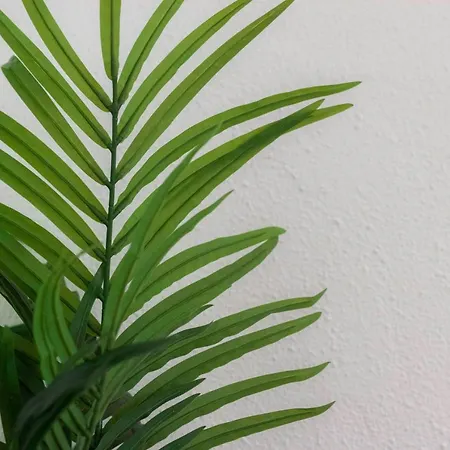 Amplio Y Comodo En Basurto Апартаменты Бильбао